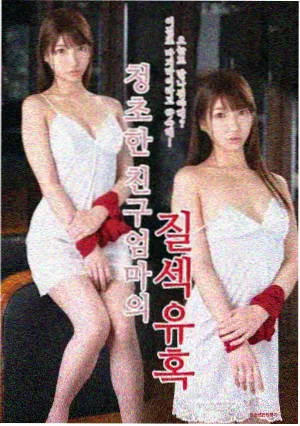 我的野蛮岳母剧照
